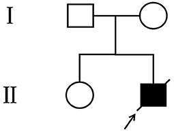 Detection of a novel SETBP1 variant in a Chinese neonate with Schinzel–Giedion syndrome